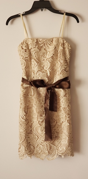 Cache Dresses & Skirts - Gorgeous Cache Dress Sz O Beige Lace Dress